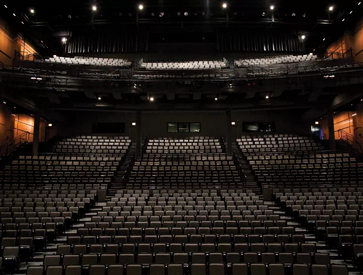 Image of the Harris Theater seating