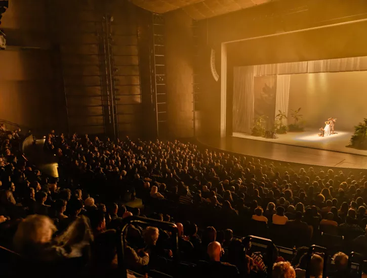 An image of a full house during a performance happening on the Harris Theater stage. 